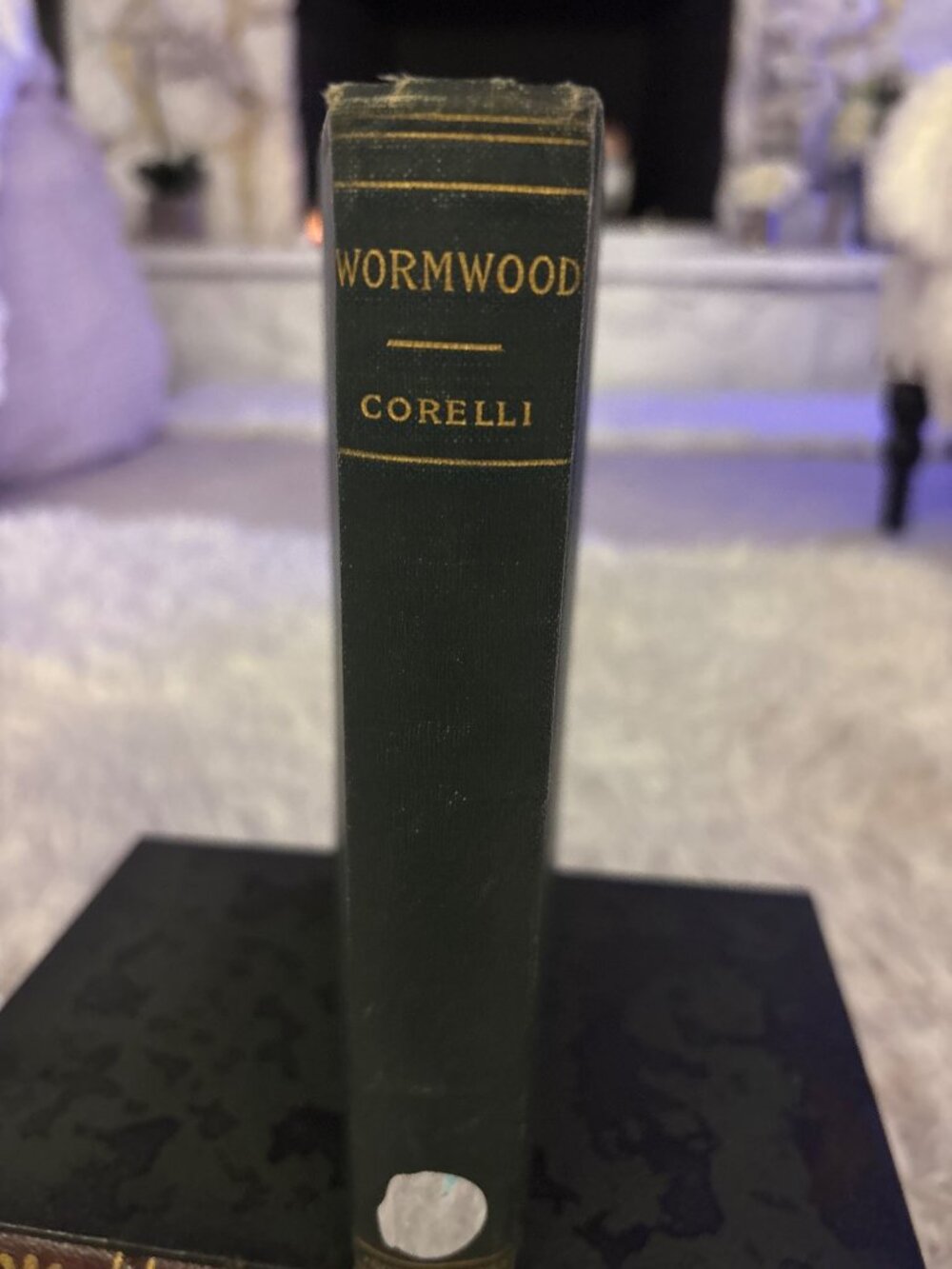 Wormwood By Corelli Authorized American Edition Hardcover Vintage Book 1890